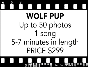 Wolf Pup Price Package