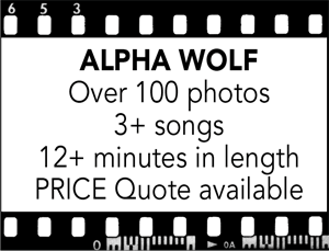 Alpha Wolf Price Package