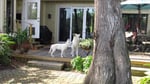 Newly neutered Lupe tries his new voice